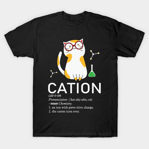 Cation Funny Cat Lover Chemist Science Teacher Gift T-Shirt by BadDesignCo